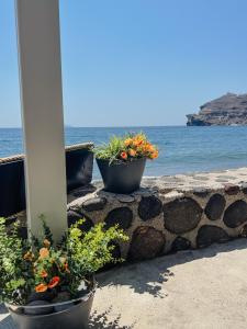 BLACK BAY CAVES SUITES