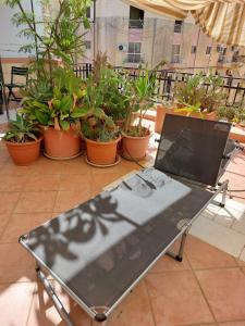 The roof garden maisonette