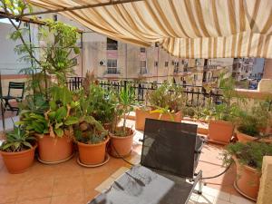 The roof garden maisonette