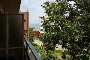 Budget Single Room room in Delfini Hotel