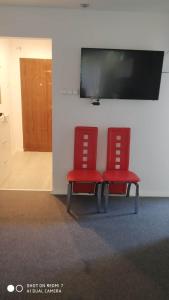 Mieszkanie wśród zieleni