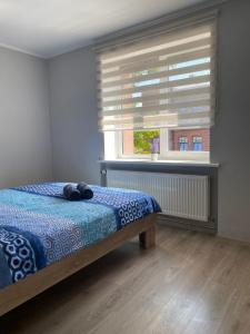 Summer Apartment
