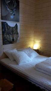 Chalet le Brame en Cevennes