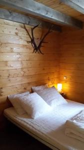 Chalets Chalet le Brame en Cevennes : photos des chambres