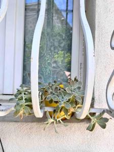 Petite maison 300m des remparts, Wifi