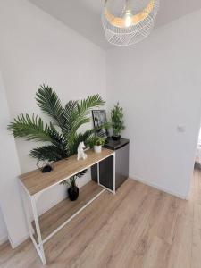 Appartements Superbe T2 avec parking : Appartement 1 Chambre