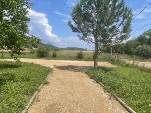 Maisons de vacances Sous les etoiles en Provence, gite les Grands chenes : photos des chambres