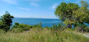 Homestead Farm PayagBahay Kubo