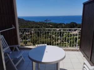 Studio 5 people with beautiful sea view - Drammont