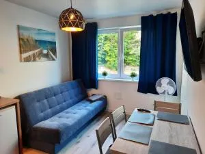 Nadmorski Bursztyn - Dębina - Debina