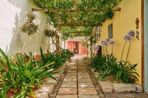 Finca Arce Live Canarias