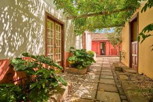 Finca Arce Live Canarias