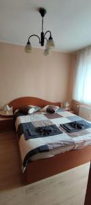 Central Vanilla Oradea