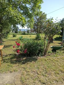 LUNA APARTMENTS Quiet Retreat, Close to Koper, AirCon, Parking