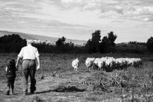 Binzas betzas Agriturismo img50