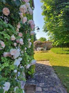 B&B / Chambres d'hotes Maison de charme en foret de Fontainebleau : photos des chambres