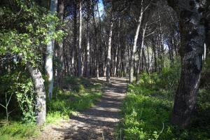 La Laura di Paestum - case vacanze