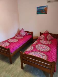 Tourist Paradis Costinesti