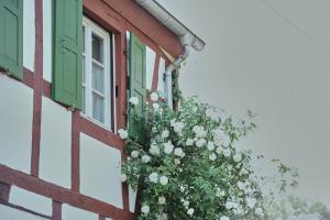 Ferienhaus Wagner