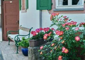 Ferienhaus Wagner