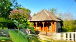 Green bunny guesthouse - Letsave