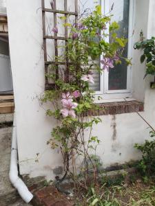 Appartements Residence ALEXIA : photos des chambres