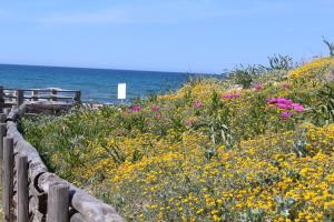 Sardinia SeaBreeze Villa IUN R2178 img44