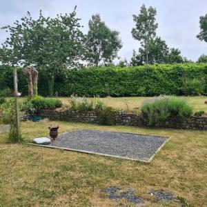 Maisons de vacances La Balniere Normande : photos des chambres