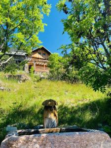 Maisons de vacances Belle maison chaleureuse, lumineuse dans la nature : photos des chambres