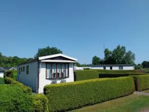 Chalet in Drenthe te huur aan de rand van het bos Drents Friese Wold, veel PRIVACY en RUST - Oude Willem