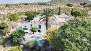 Cortijo Don Simón - Nueva-Carteya