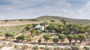 Cortijo Don Simón
