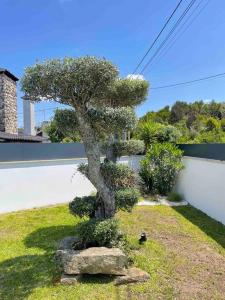 Villa - Âncora - 300 mètres de l’océan