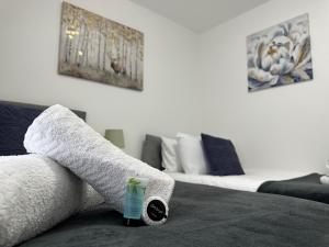 Superb 2 bedroomed apartment