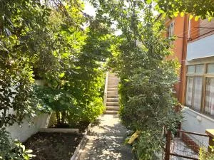 Casa Riotorto - Vignale