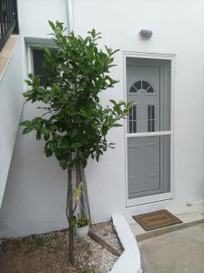 GEORGECHRISTI HOUSE - 3hvězdičkové hotely ve městě Skala Kallirakhis