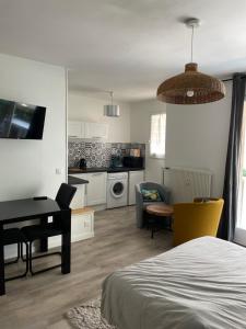 Appartements Studio hypercentre 27m2 avec balcon et parking : photos des chambres