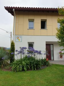 Appartements Gites Vue Montagne St Jean Pied de Port Pays Basque : Appartement 1 Chambre