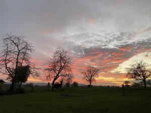 Maisons de vacances Entire Farm House stay, La Gerouardiere : photos des chambres