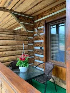 VV - 韦尔霍维纳