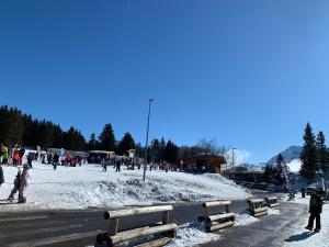 Appartements L-ecrin du Bachat Chamrousse : photos des chambres