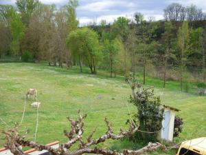 Maisons de vacances Gite O fil du Tarn : photos des chambres