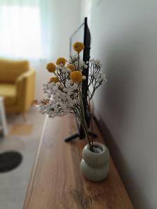 Apartment Eight - Pirot