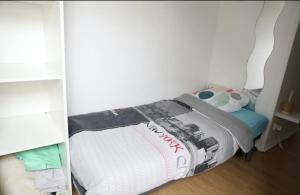 Auberges de jeunesse Appartement duplex Lille 2 : photos des chambres