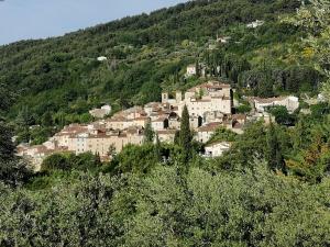 Maisons de vacances Charmant logement provencal avec piscine a deux pas du village medieval : photos des chambres