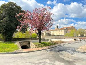 Appartements L'alouette - Studio Bis, Climatisation, Neuf : photos des chambres