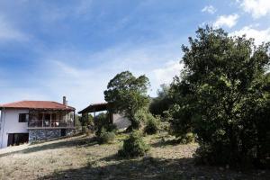 Bezeniko Amazing Arcadian Property!