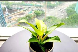 Casa Antonio At Uptown Parksuites Two