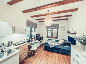 Apartament pod brzozami -Tomaszkowo - Tomaszkowo