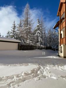FAMILIENAPPARTMENT MIT GARTEN - Gerlitzen